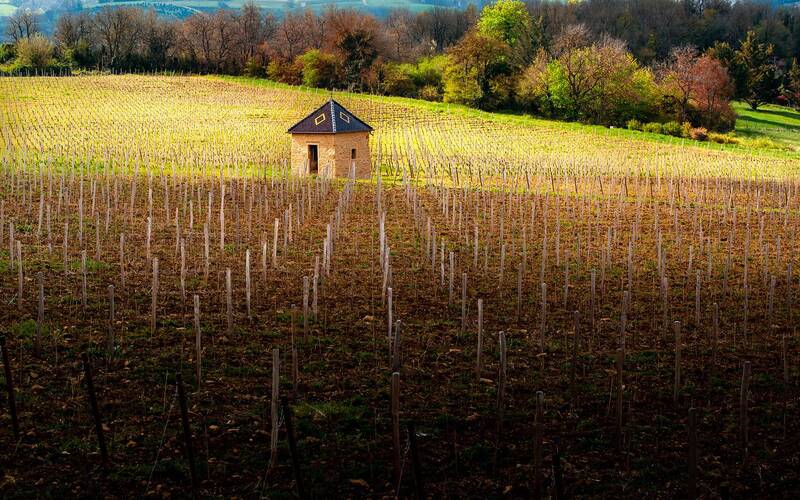 Wiosna! фото превью