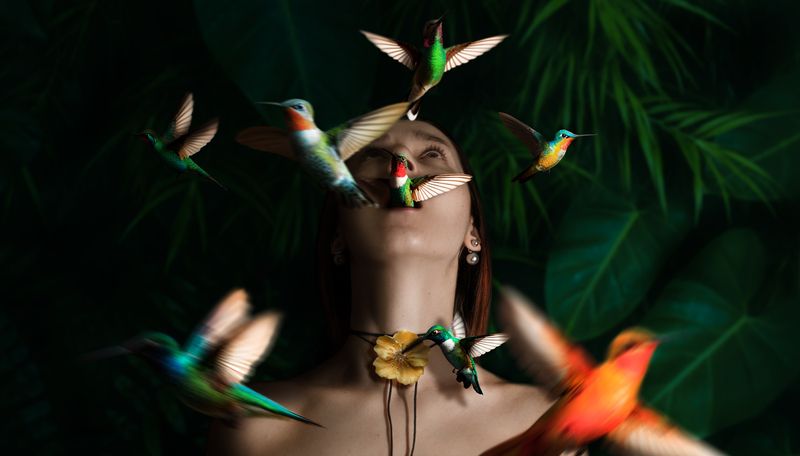 фото превью