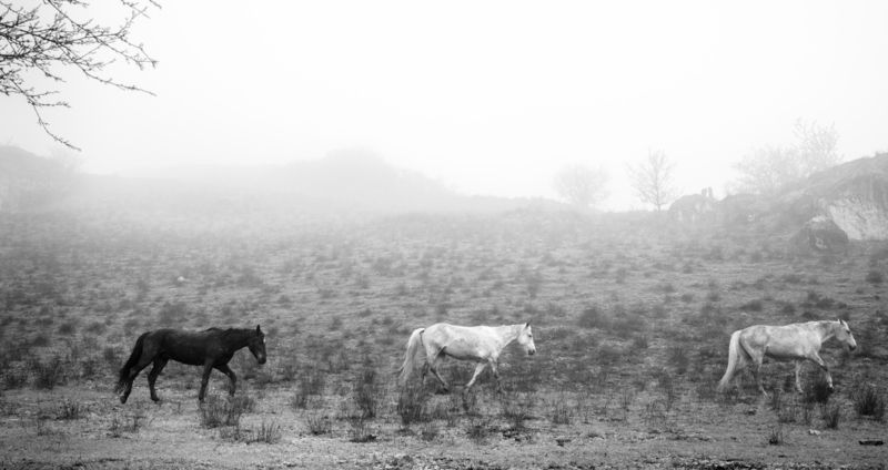 Ингушетия фото превью