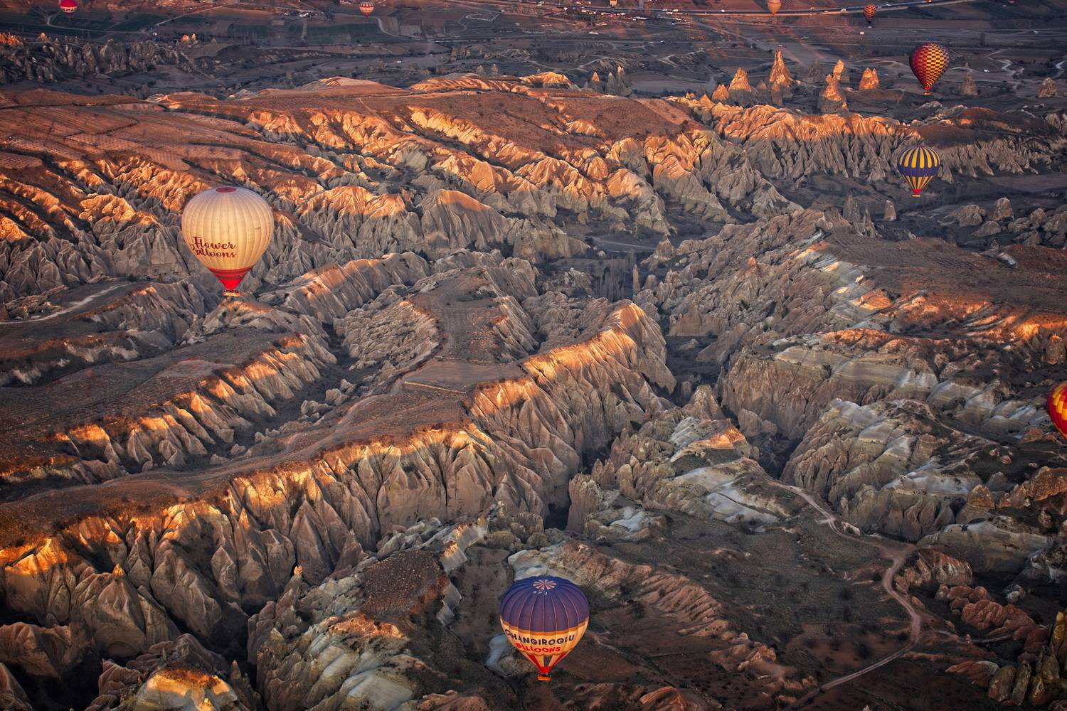 , Игорь Щербаков