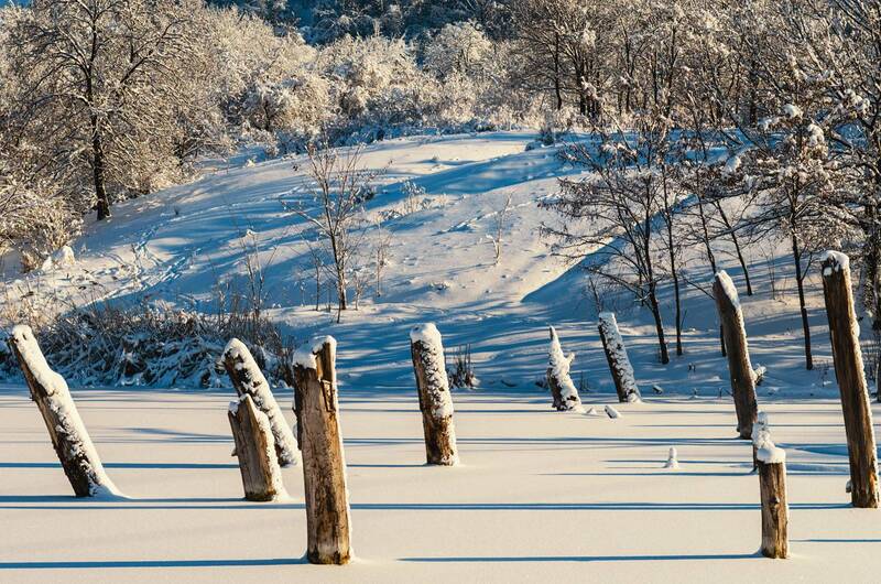 На пруду в феврале фото превью