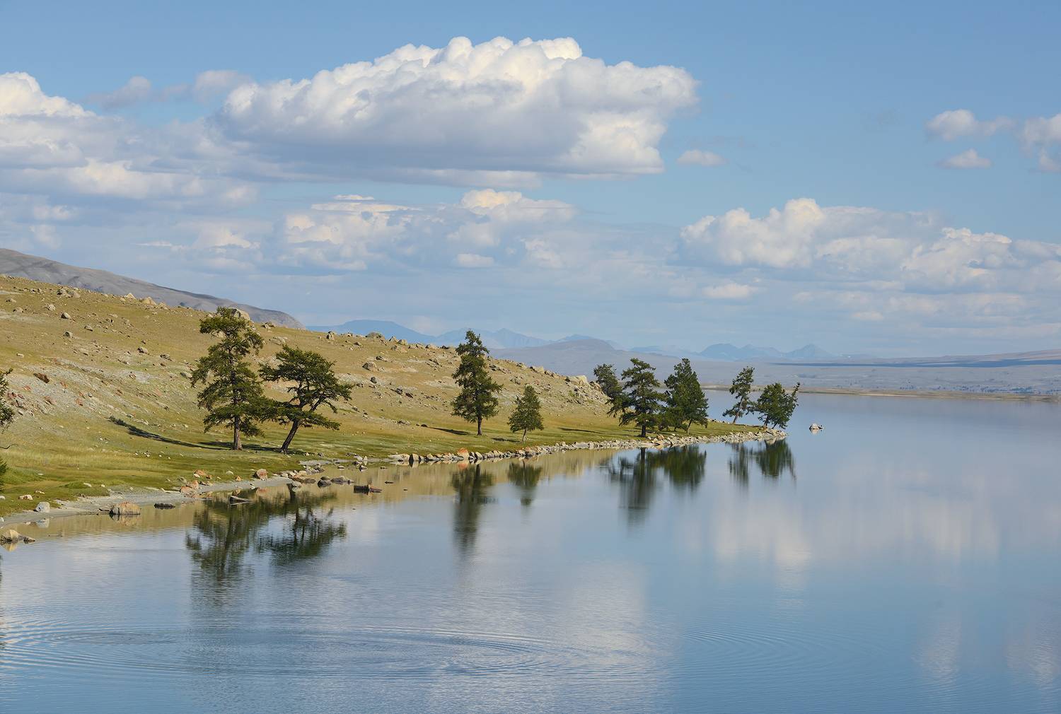 Монголия, монгольский_алтай, Гоби, пески, Эдуард Кутыгин