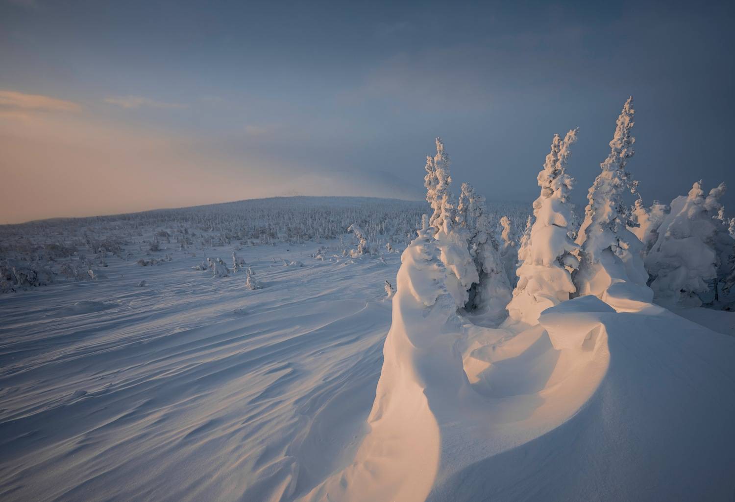 , Ширгин Сергей