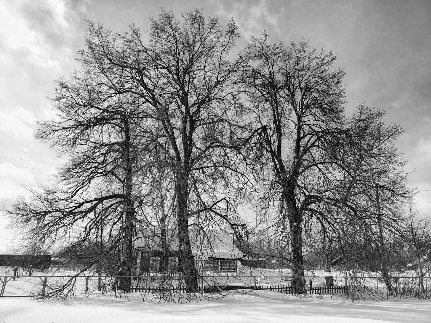 , Кондрашова Светлана