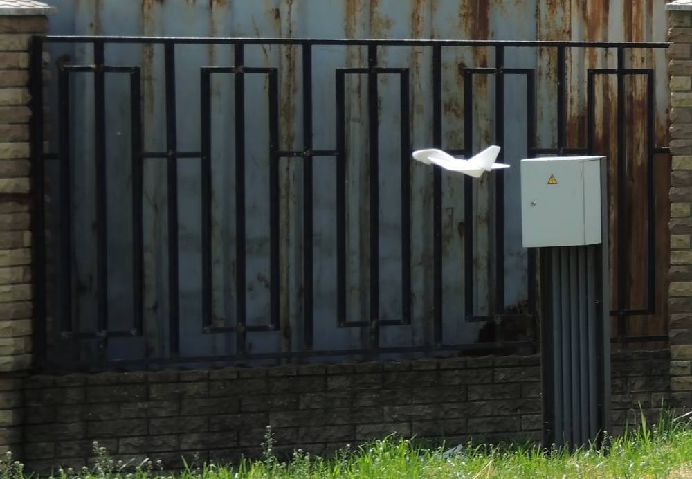 , Савоцкий Роман