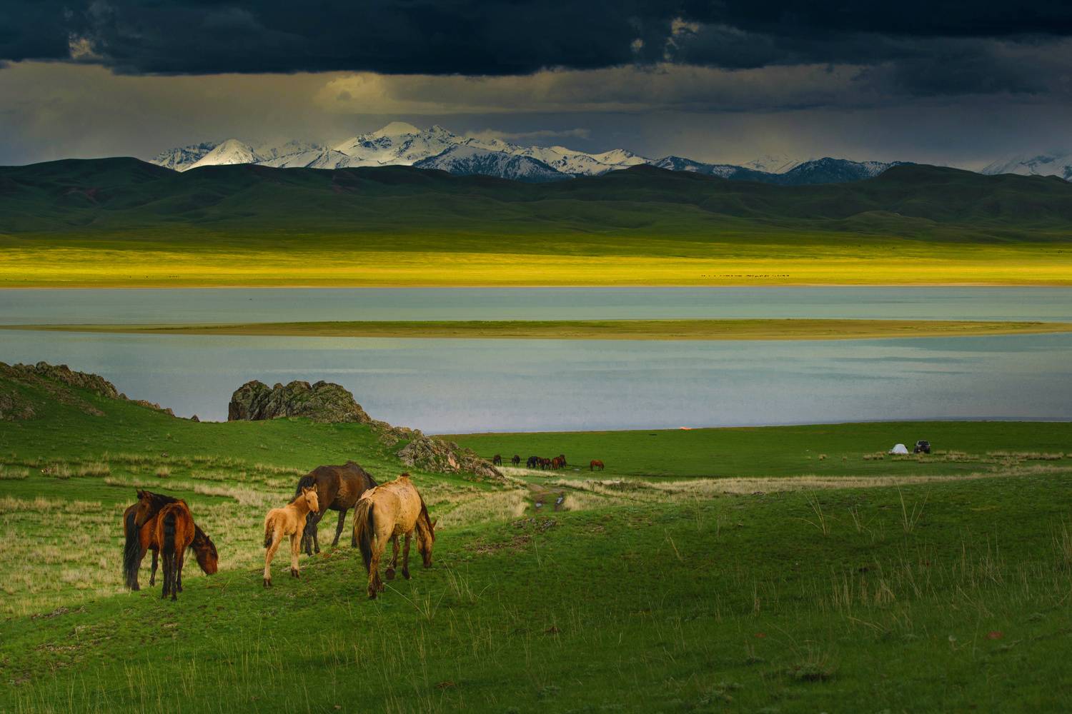 , Алексей Кретов