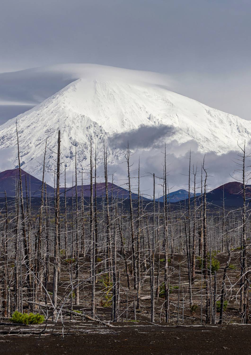 Россия, вулкан, Камчатка, russia, komchatka, volcano, Mikhail Konarev