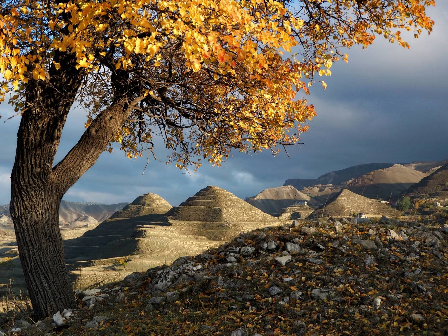 , Яковлев Евгений