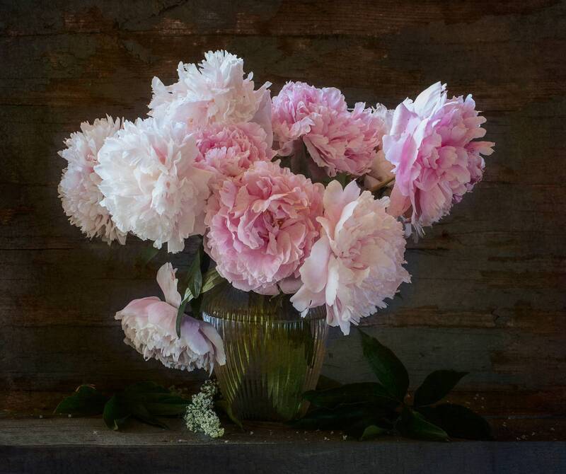 *** фото превью