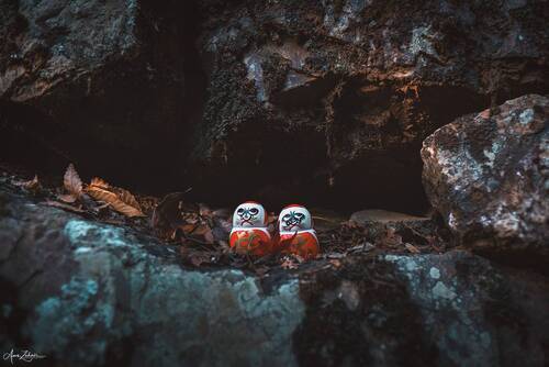 Daruma Dolls