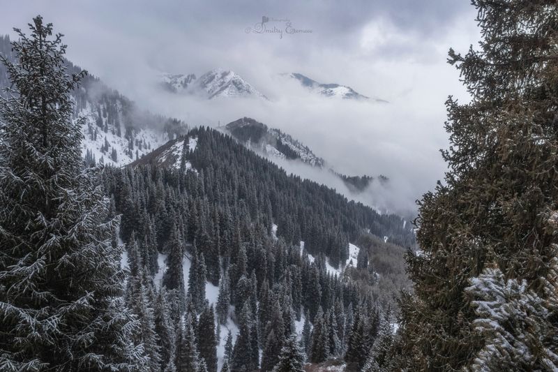 горы, ельник, зимнийпейзаж, природа Тишина, которую можно услышать... фото превью