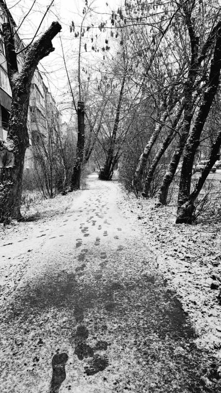 Следы.... фото превью