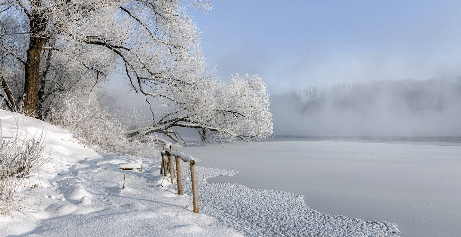 , Анатолий Зверев