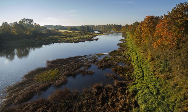 ainava, koki, upe, rudens Rudens nokrāsās фото превью