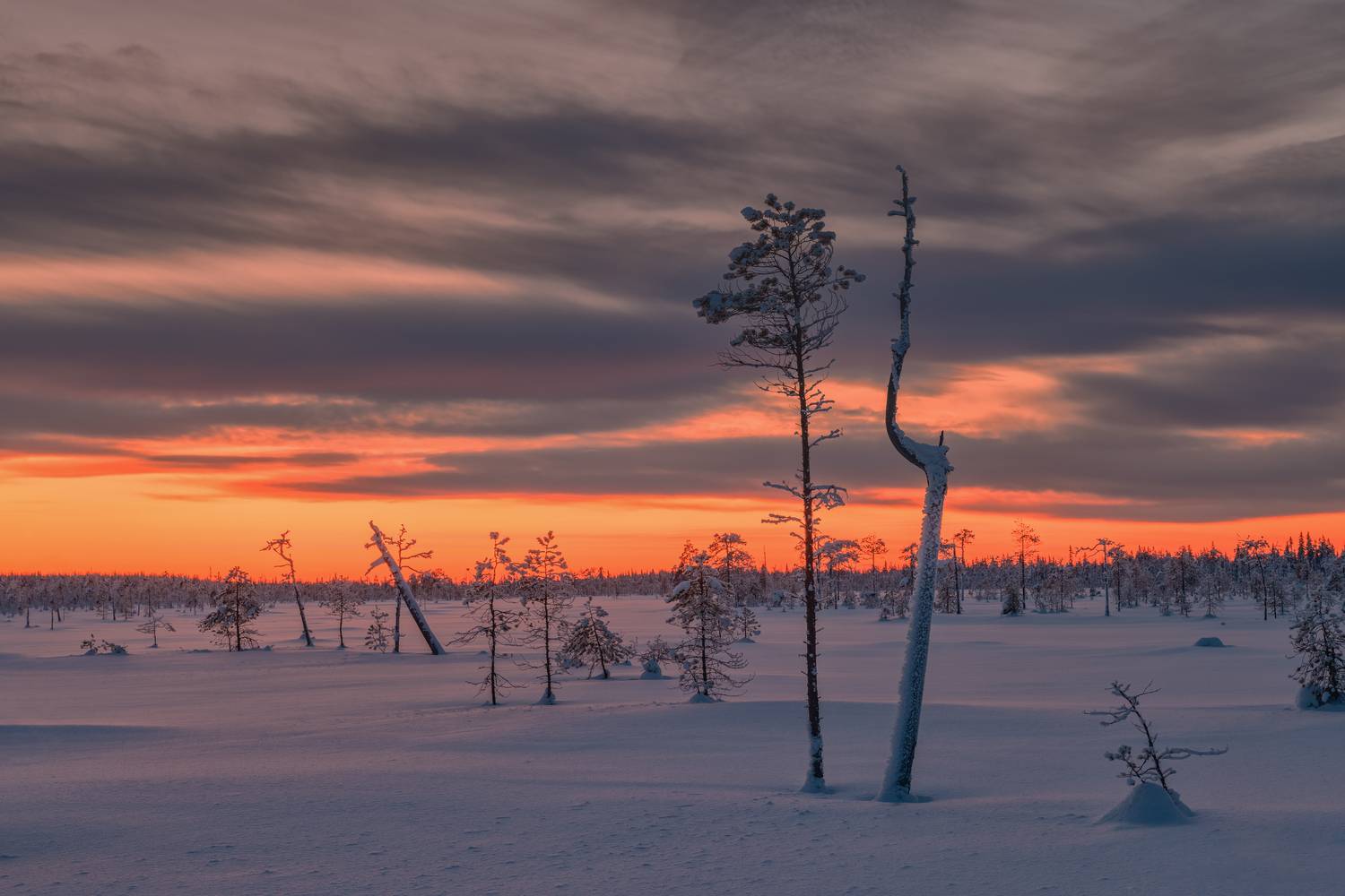 , Евдокимов Максим