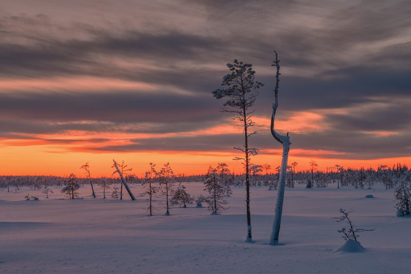 Странноватый дуэт... фото превью