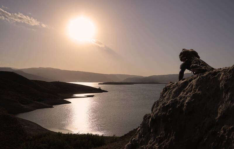 *** фото превью