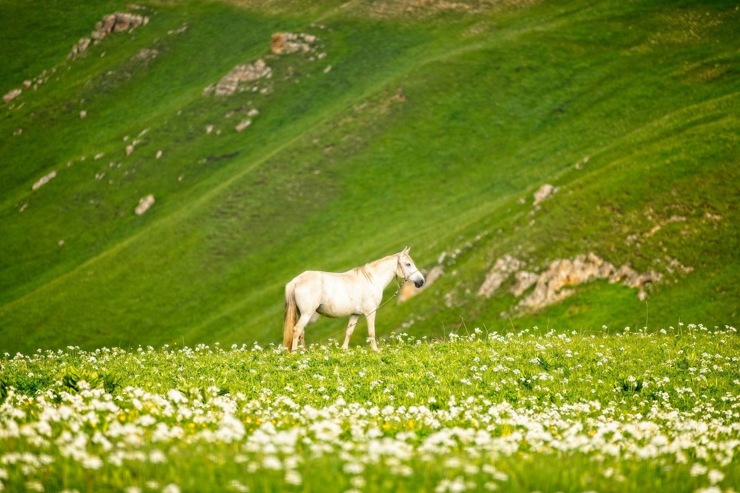 , Игорь Щербаков