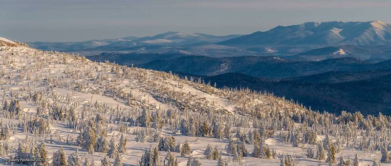 шерегеш, японский лес, курумник, фрирайд, пихты, кедры, берёзы, гора мустаг, горная шория, мороз, зима, сибирь Японский лес и курумник в Шерегеше фото превью