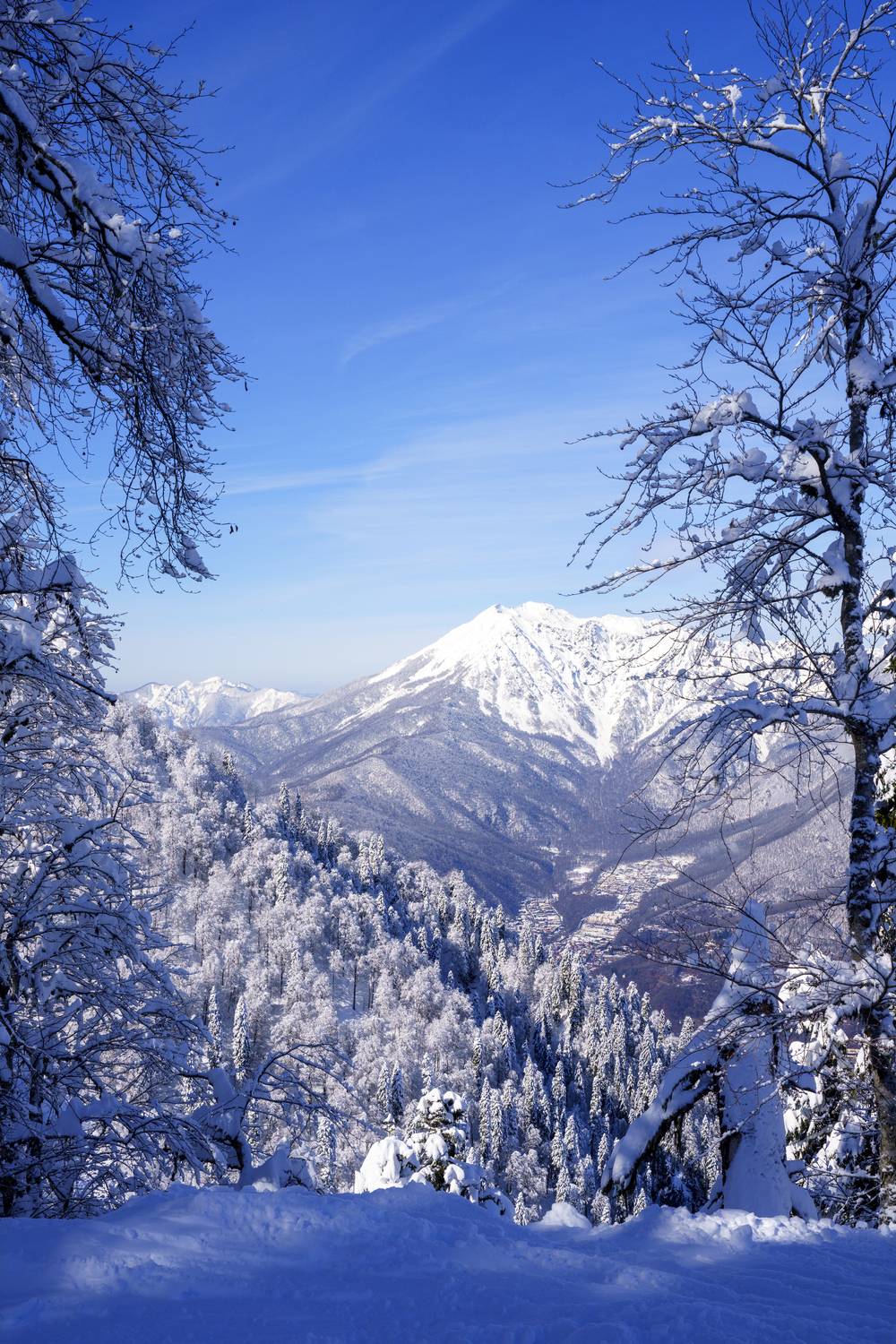 , Пупонин Сергей