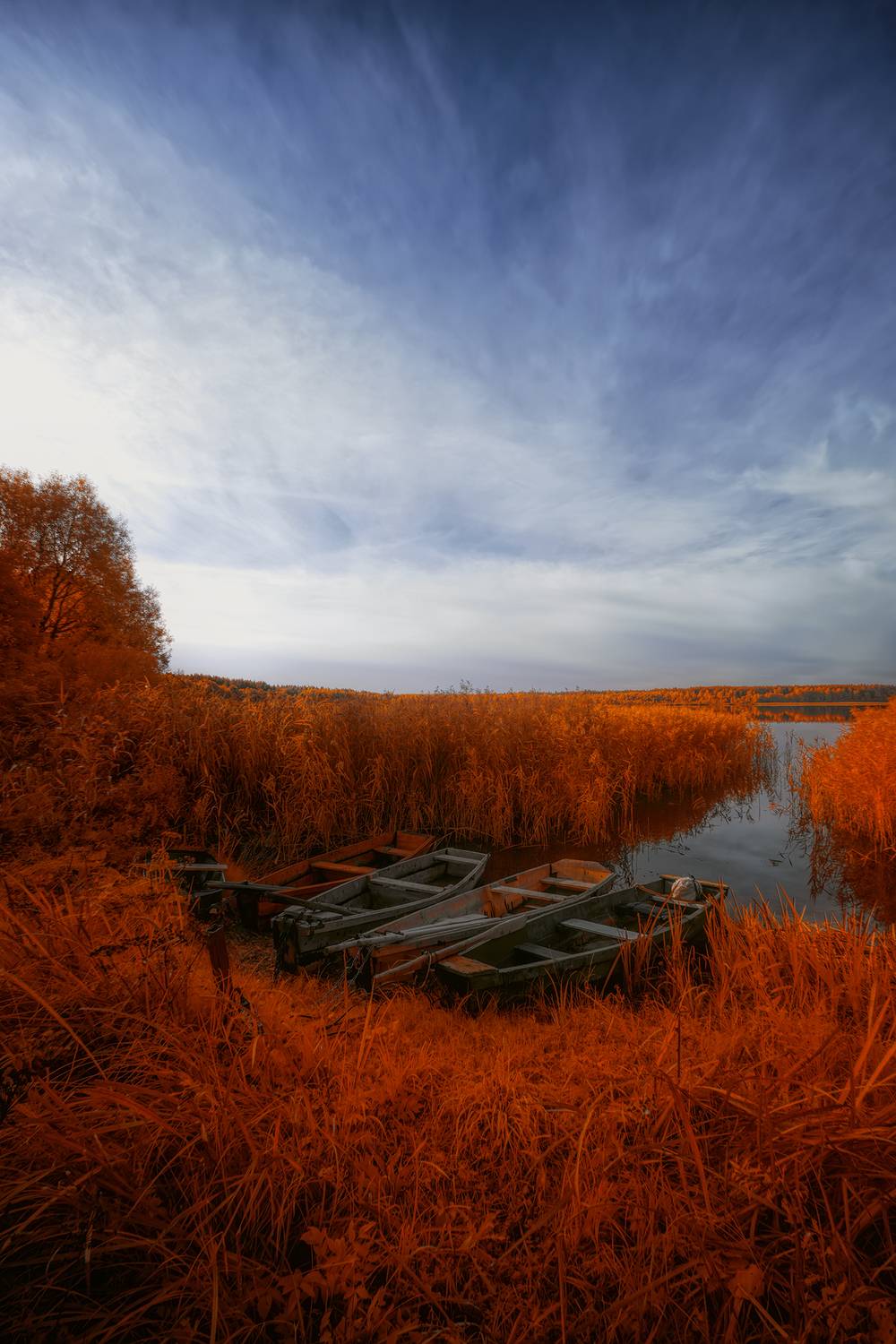 infrared, ик-фото, инфракрасное фото, инфракрасная фотография, пейзаж, осень,  Sixten (Сергей)