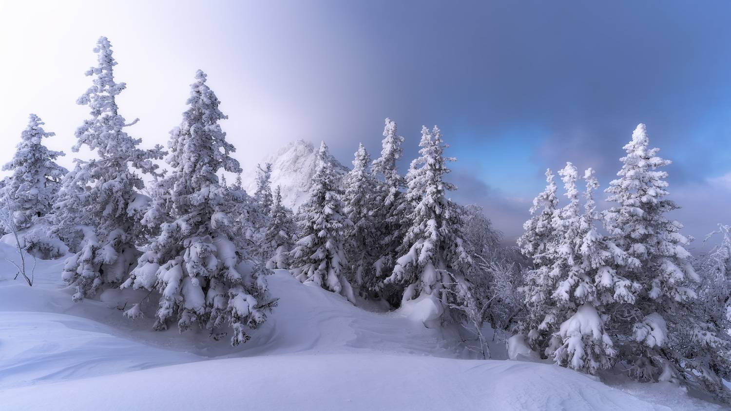 , Межин Сергей