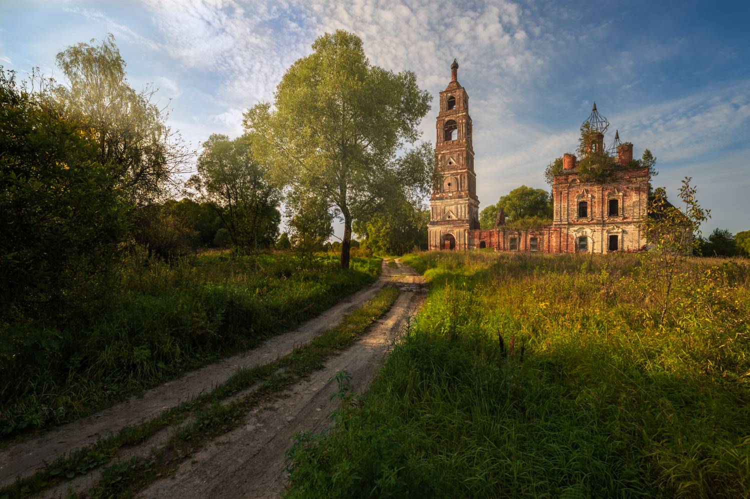 россия, храм, заброшка, церковь, лето, вечер, ярославская область, деревня, православие, николо-пенье, Ракичевич Томислав