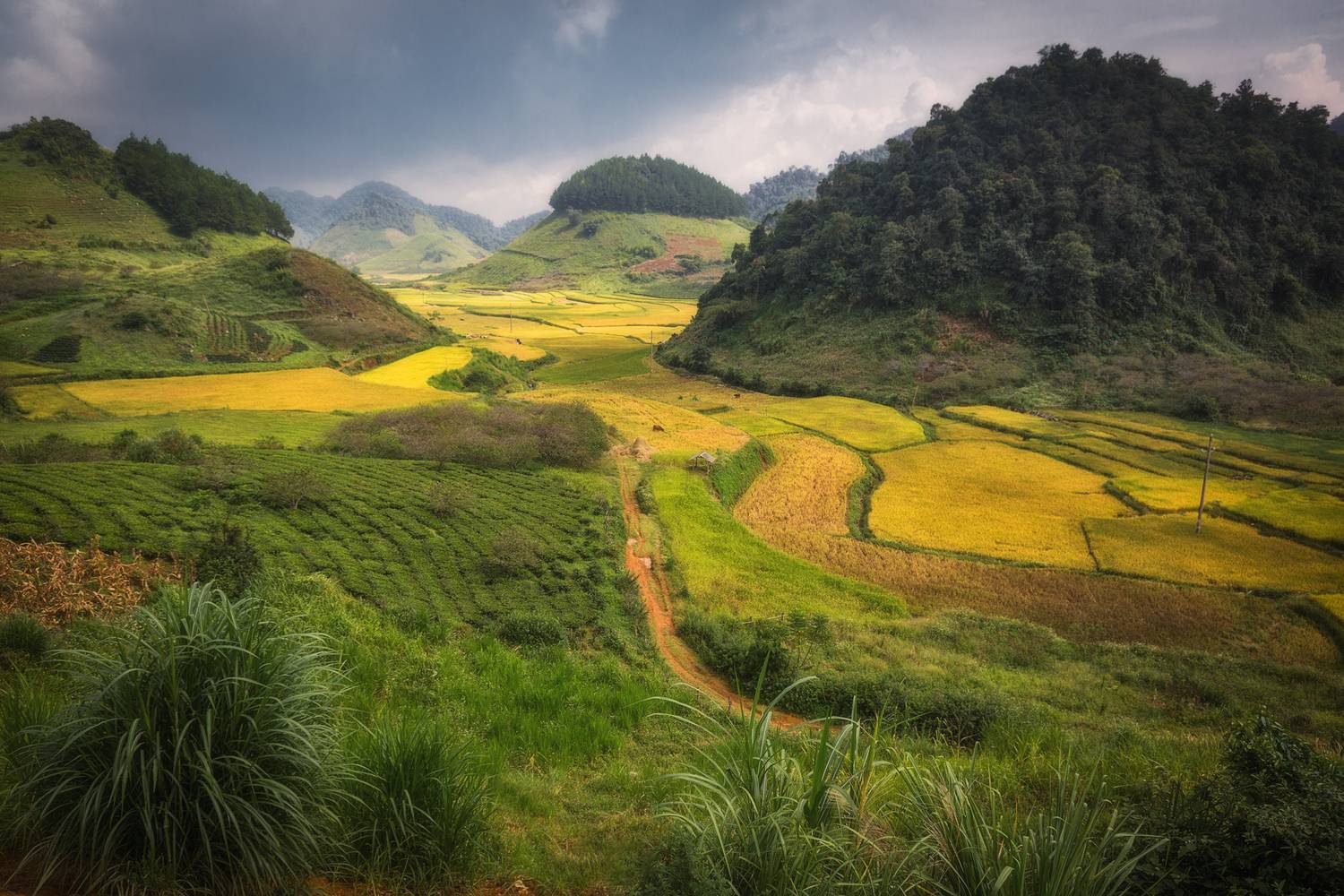 , Алексей Гурьев