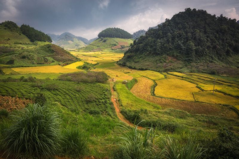 Пятна фото превью