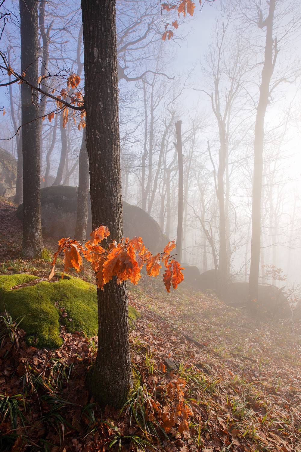 , Любослав Любомиров