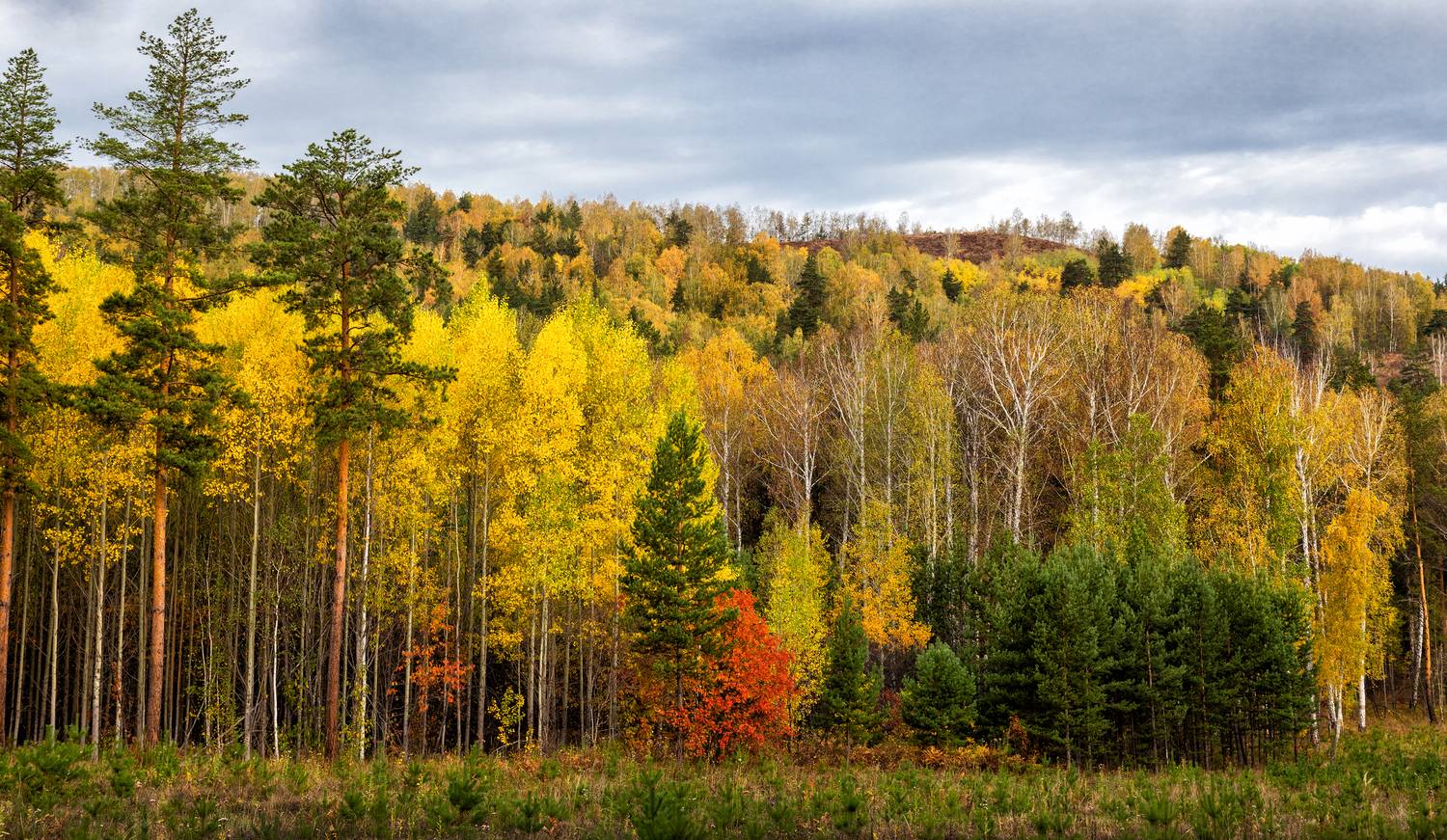 , Ушаков Валерий
