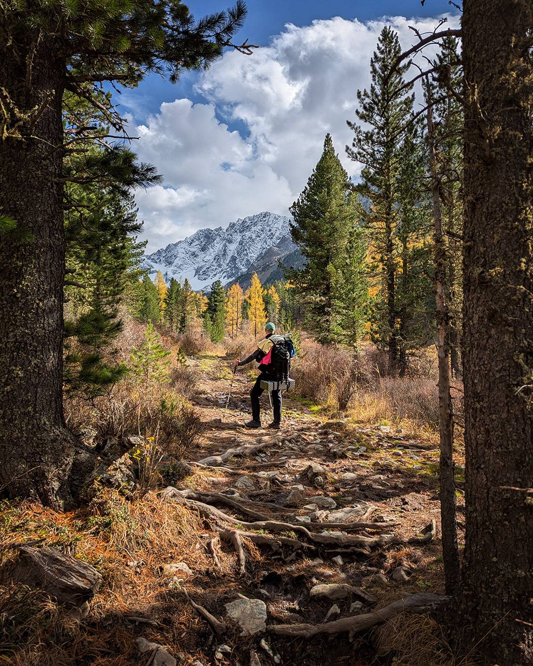 , Бодрягин Виталий