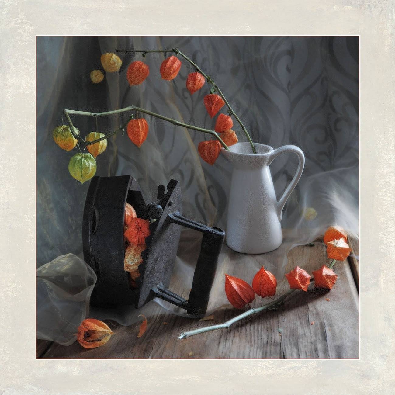 , Ирина Данилова