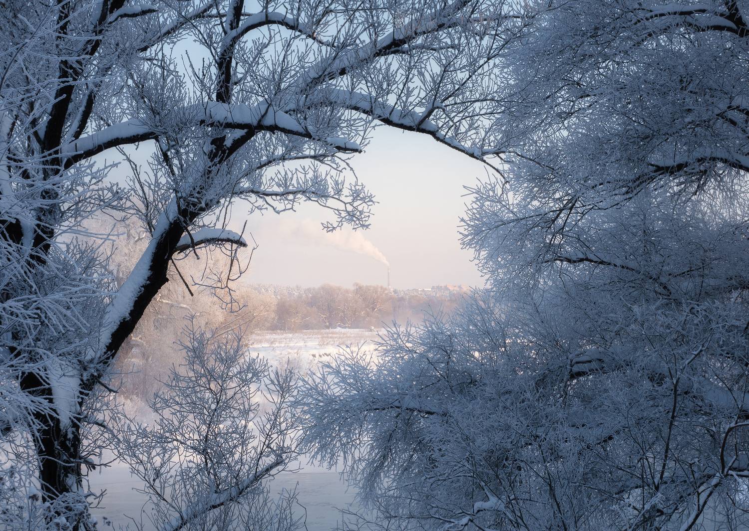 , Мозжухин Максим