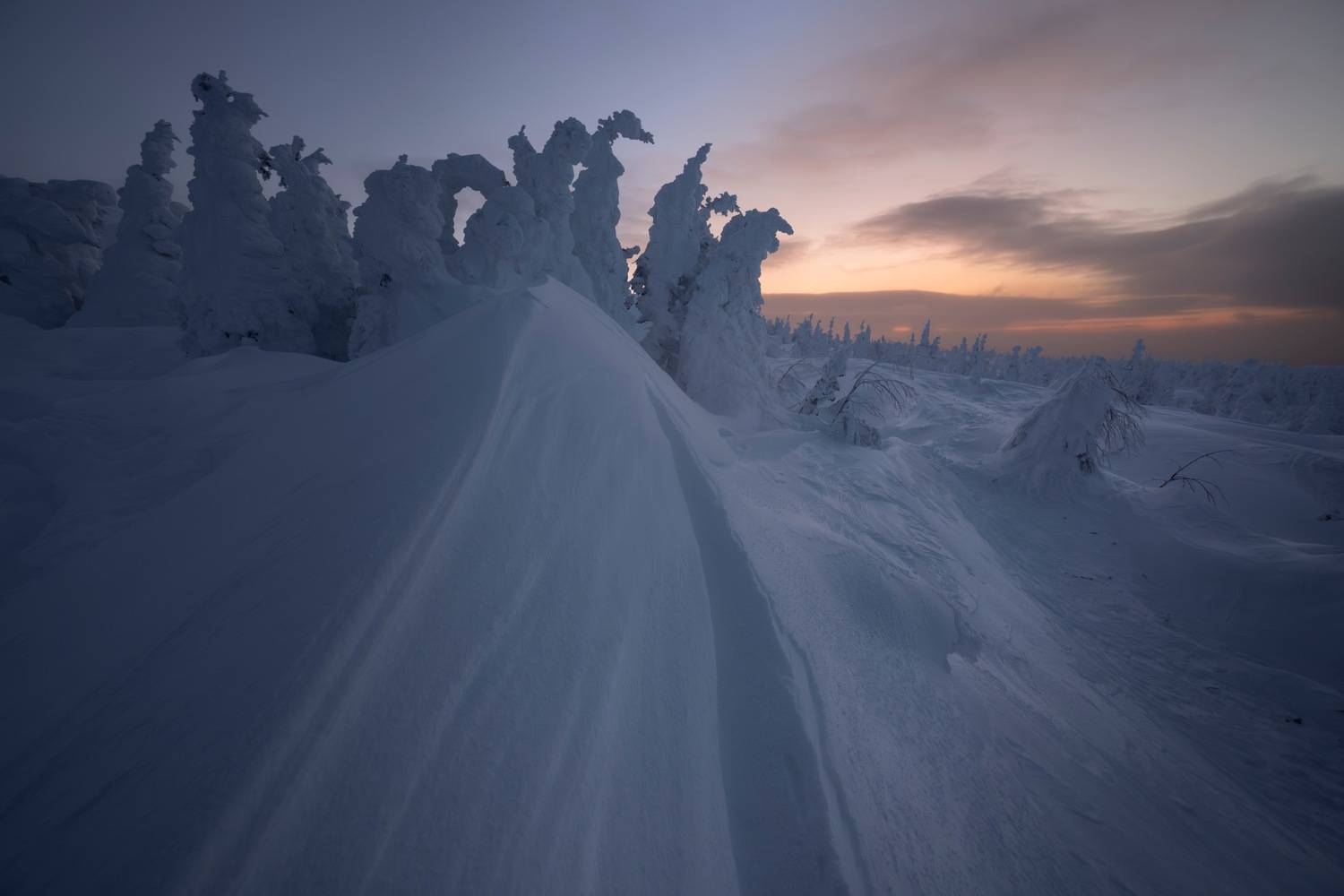 , Ширгин Сергей