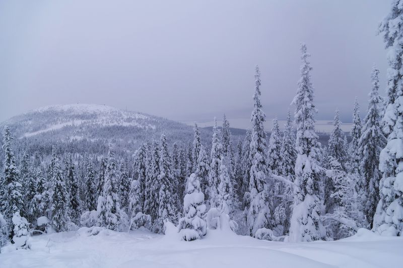 Мурманская область, Кольский полуостров, Кандалакша, Волосяная сопка Пасмурный день фото превью