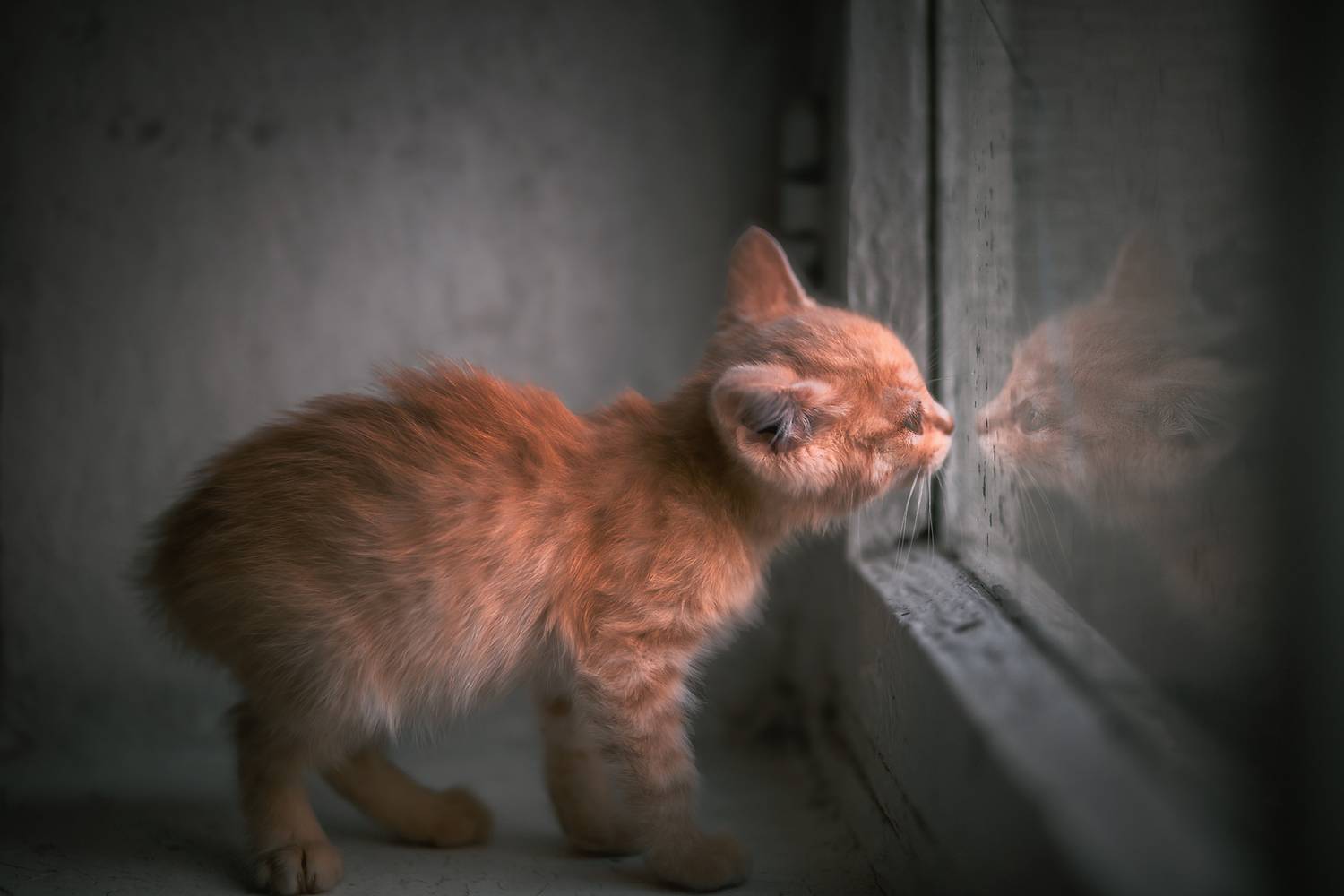 , Виктор Холудеев