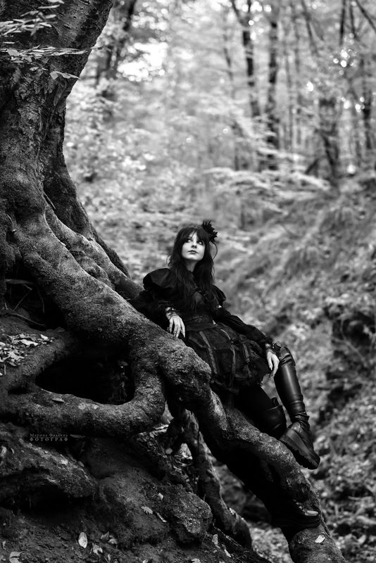 лес, девушка, готика, черно-белое Лесные грёзы фото превью