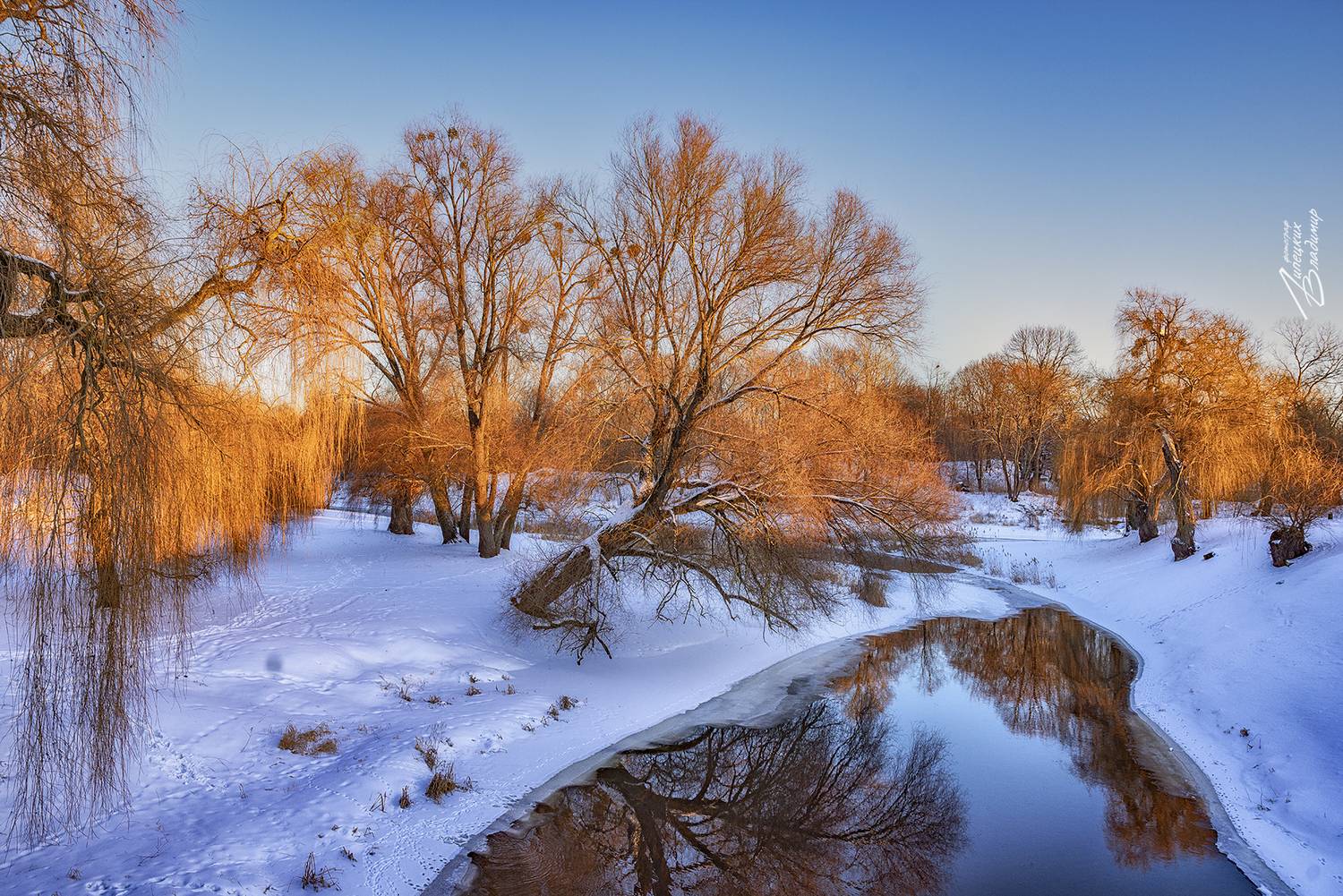 белоруссия, брестская крепость, Липецких Владимир