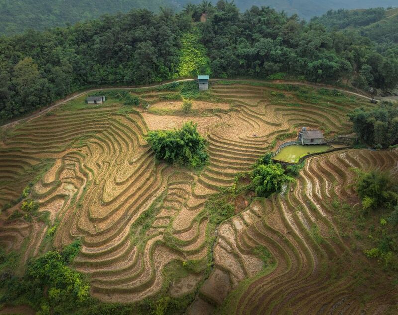 Вьетнам, путешествие_по_вьетнаму Рисовые террасы Вьетнама фото превью