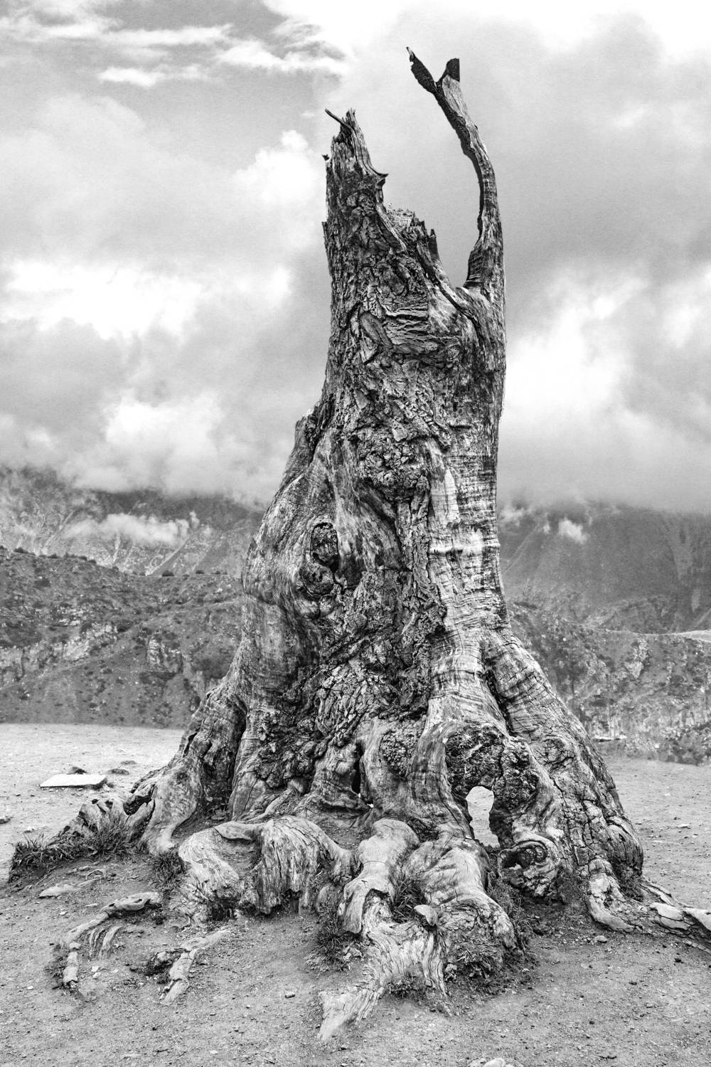 , Гагик Мхитарян