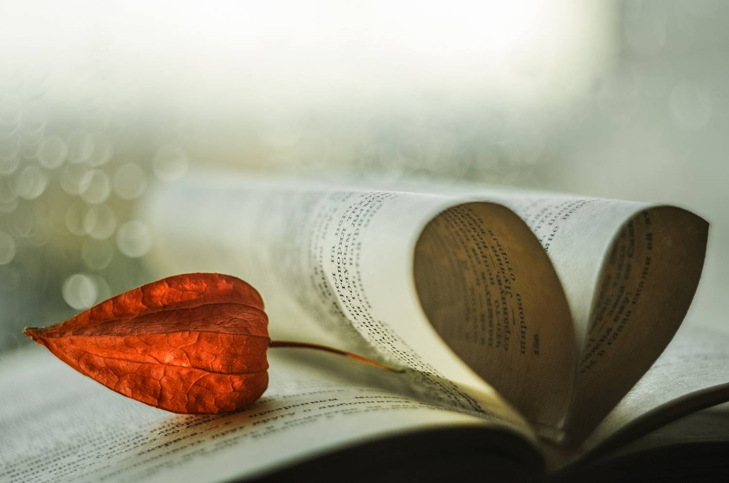 , Настя Махова