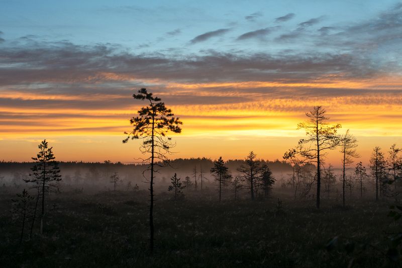 Волшебное утро фото превью