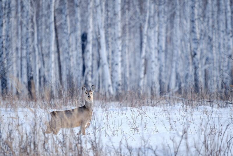 За секунду до фото превью