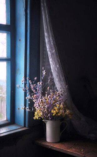 Зимний букет 