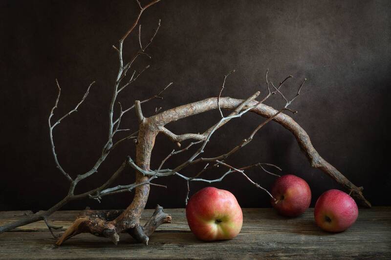 яблоки, ветки, сад Старый сад фото превью