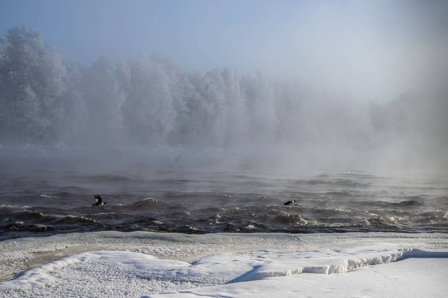 , Елена Маковоз