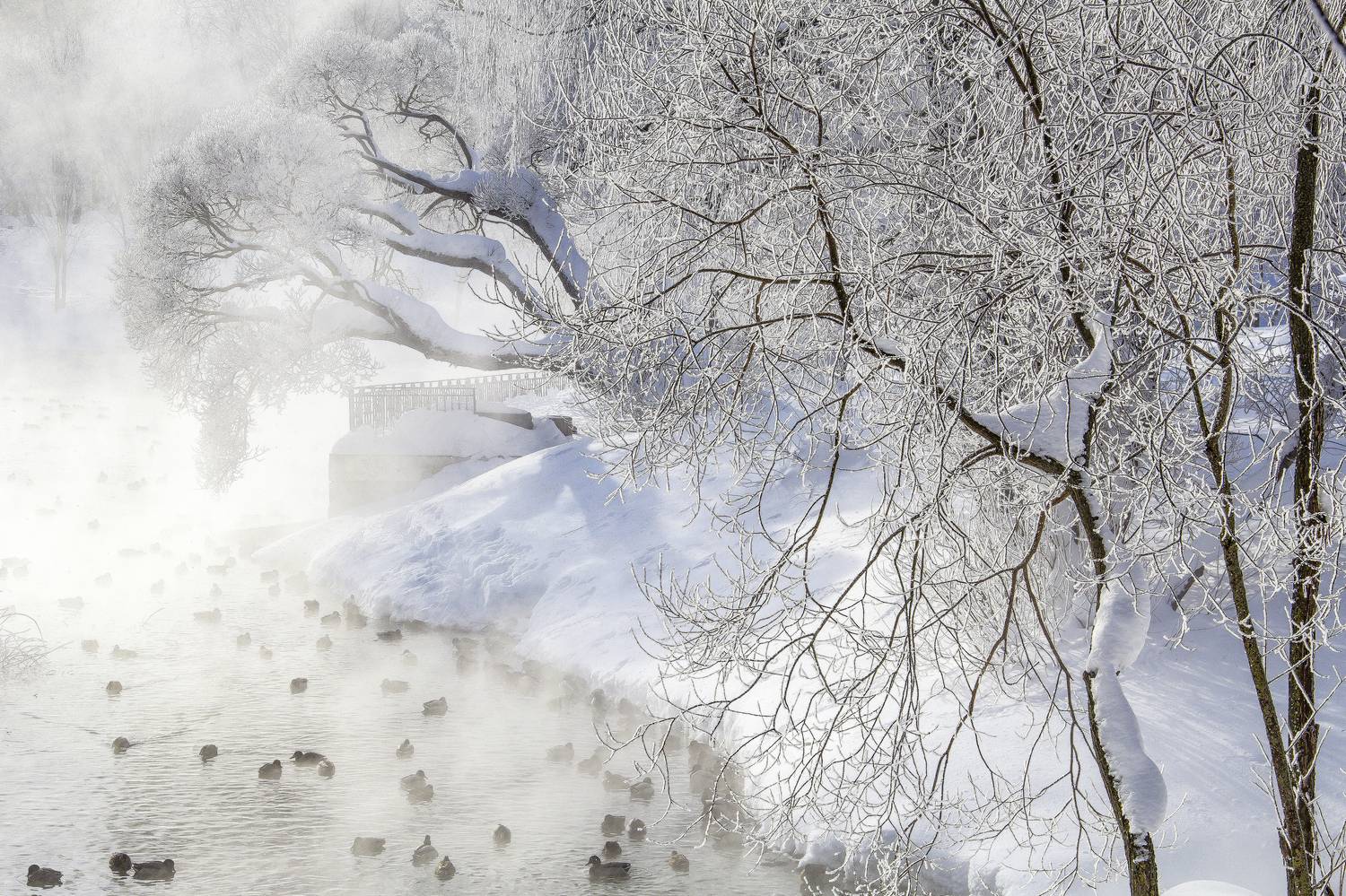 Киров, парк им.Кирова, зима, галина новинская