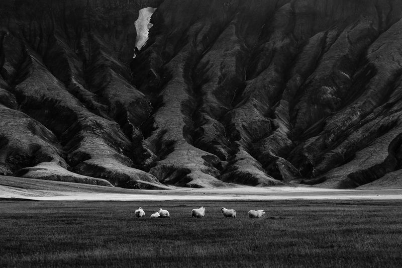 SIX фото превью