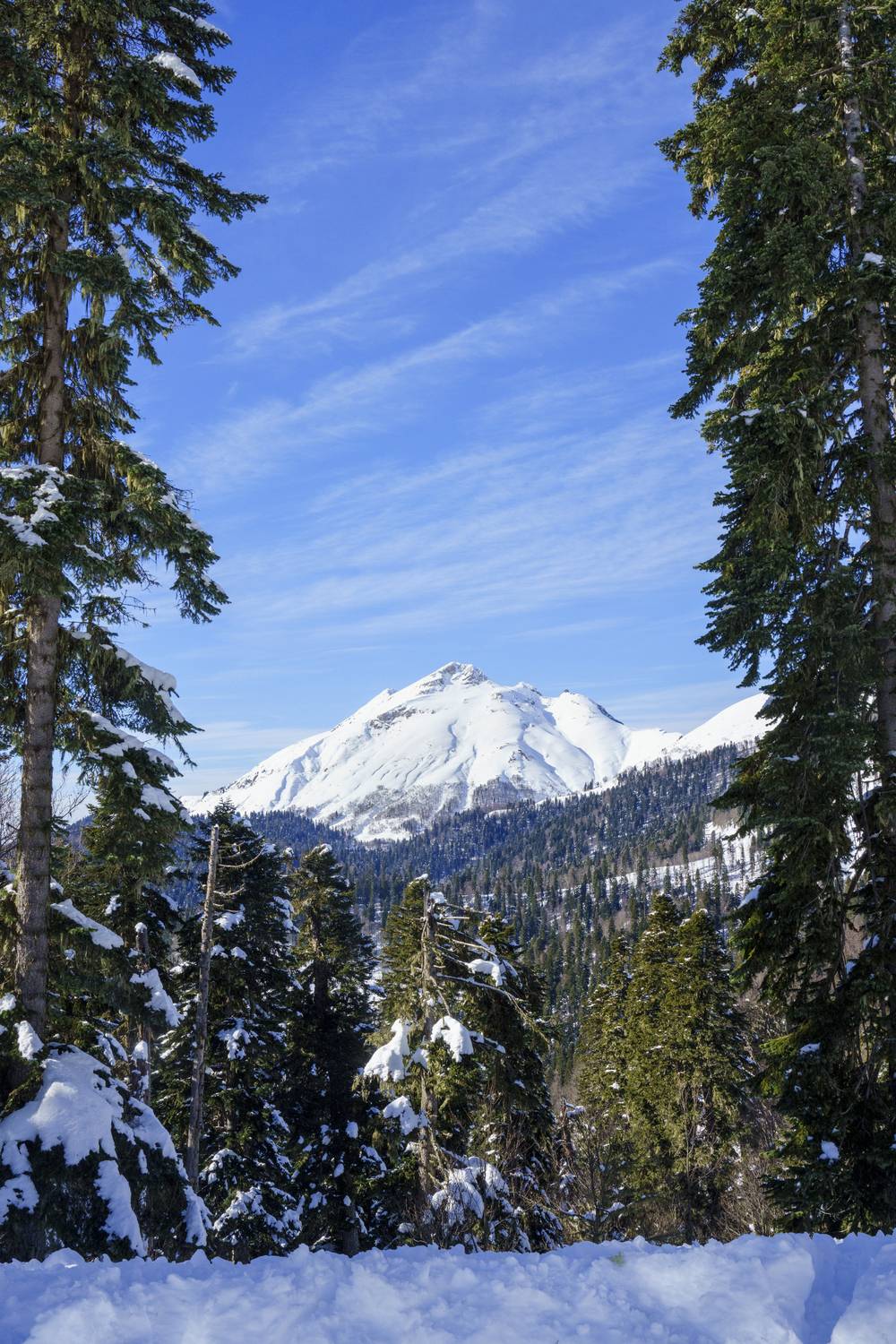 , Пупонин Сергей